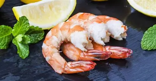 Вкусные и богатые белком, это 6 преимуществ креветок для прикорма ребенка