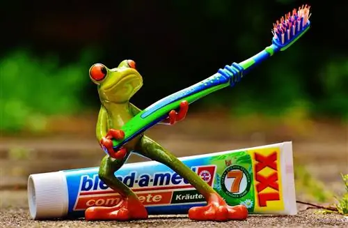 Image Image