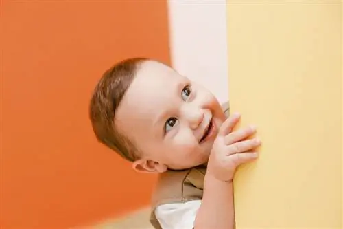 Image Image