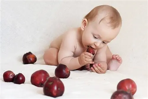 Image Image