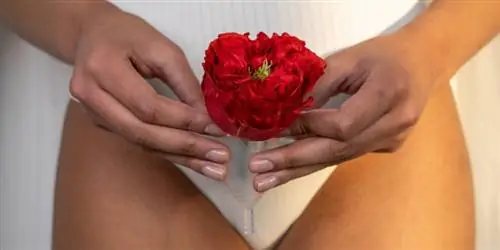 Image Image