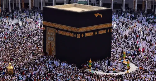 Image Image