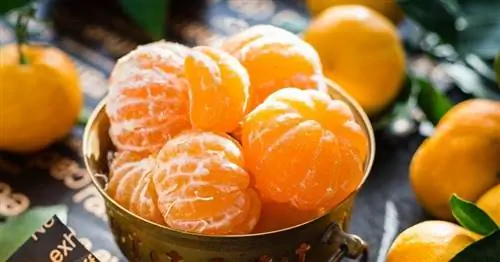 5 преимуществ белой клетчатки и апельсиновой корки для здоровья