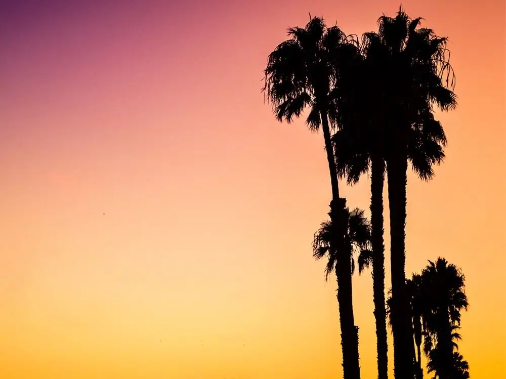 stuart-guest-smith-150560-unsplash stuart-guest-smith-150560-unsplash