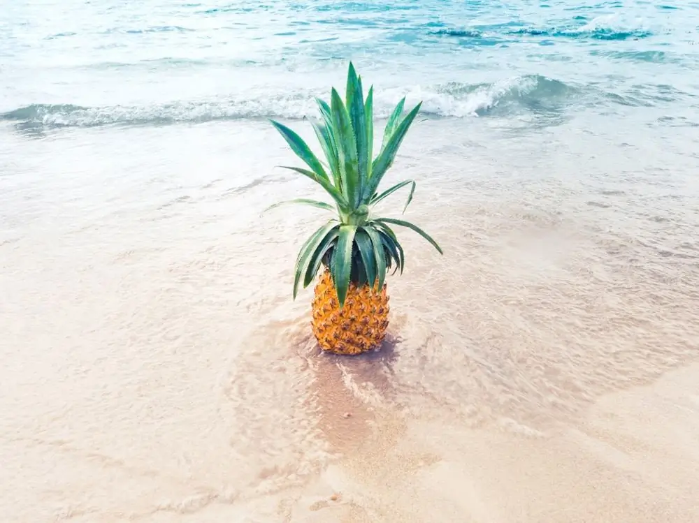 evi-radauscher-325123-unsplash evi-radauscher-325123-unsplash