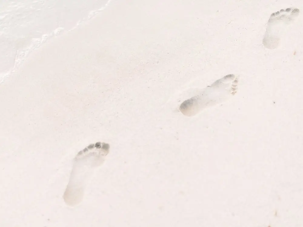 roman-kraft-279919-unsplash roman-kraft-279919-unsplash