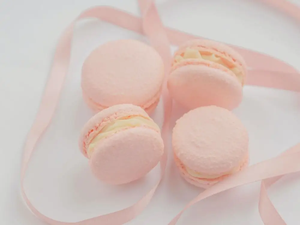 04-macaron 04-macaron
