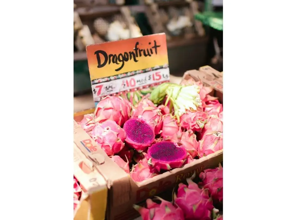05-dragon-fruit 05-dragon-fruit