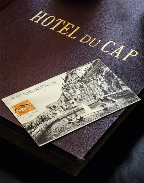 Image Image