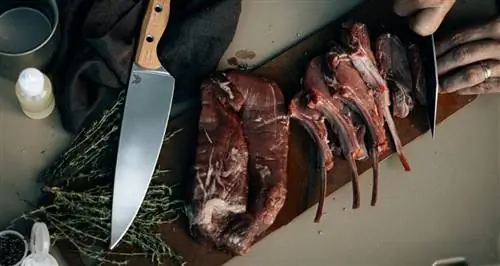 Коллекция кухонных ножей от Benchmade - острое обновление для домашних поваров