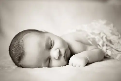 Shutterstock_278248337