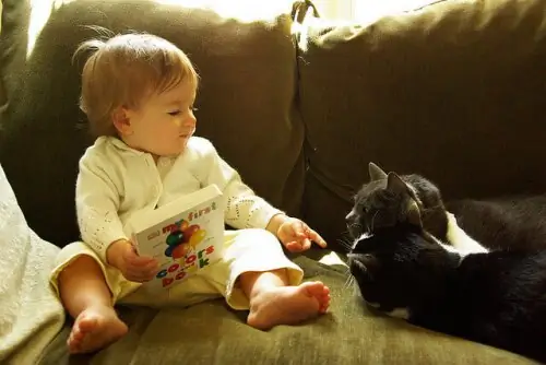 коты в доме_ребенка с gatos_leann_b