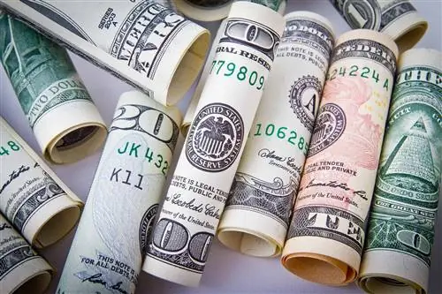 Студенты колледжа купили старый диван за 20 долларов и вернули вдове 40 000 долларов