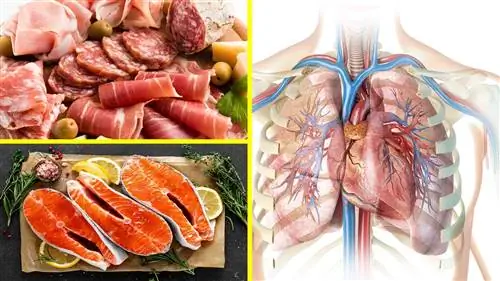 Кардиологи назвали 5 продуктов, которые вредят здоровью сердца (и 4, которые ему помогают)