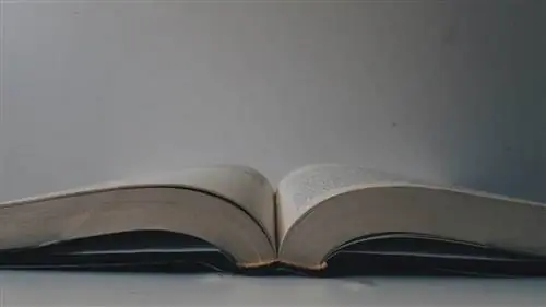Думай и богатей, Наполеон Хилл (обзор книги)