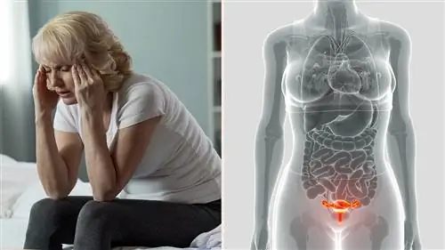 10 упражнений, уменьшающих симптомы менопаузы