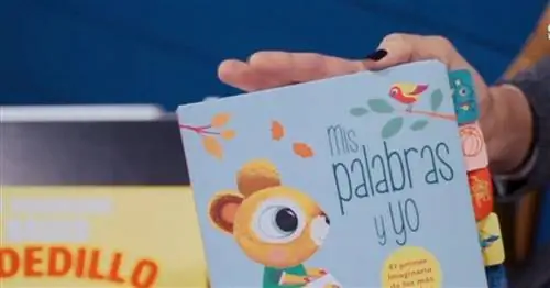 Лучшие книги для расширения детского словарного запаса