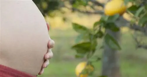 Продукты, богатые фолиевой кислотой, которые не должны отсутствовать в вашем рационе