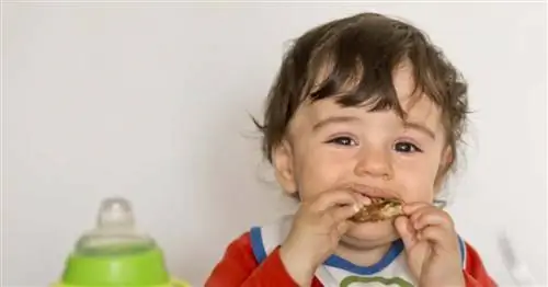 Легкие продукты не для детей