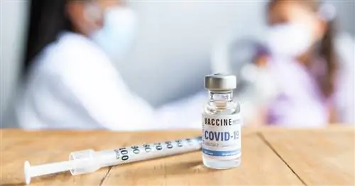 Готовы ли родители вакцинировать своих детей от COVID-19?
