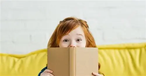 Муми-тролли, сага о муми-троллях, которую любят финские дети