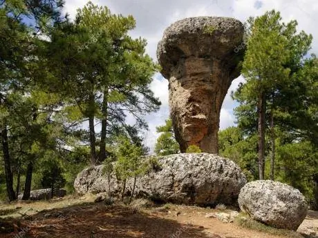 картина картина