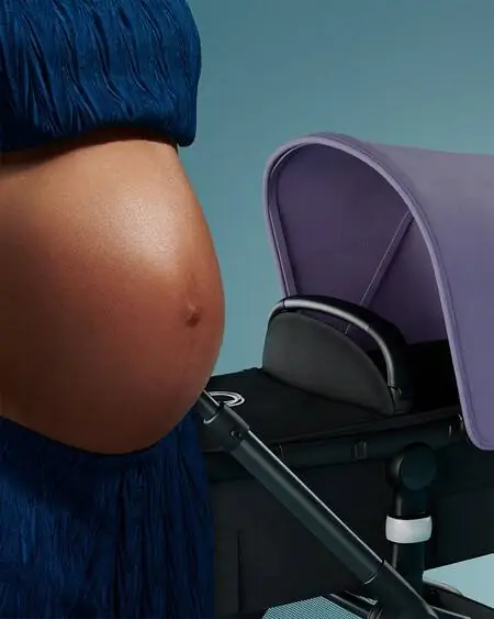bugaboo-fox5