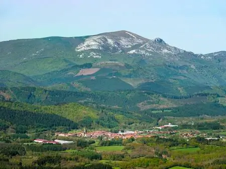 горбея горбея
