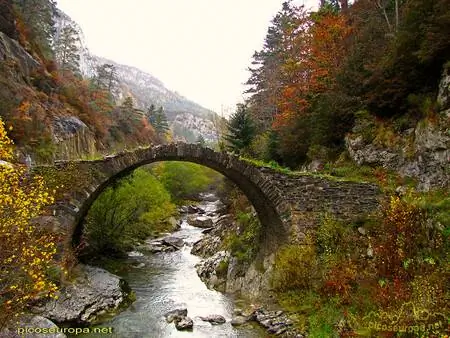 Gamueta Forest Picosdeeuropa Net Gamueta Forest Picosdeeuropa Net