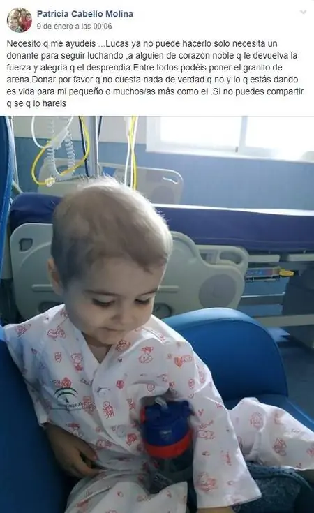 донорство костного мозга донорство костного мозга
