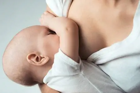 Натуральные средства для увеличения производства молока: нет научных доказательств того, что они работают