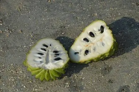 заварное яблоко