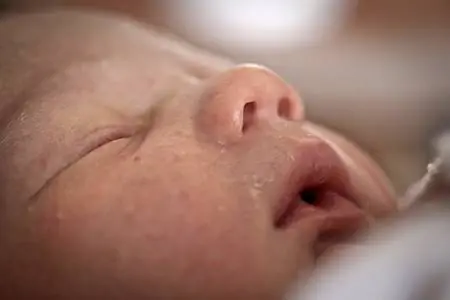 Новорожденные узнают запах матери, чтобы прокормить себя