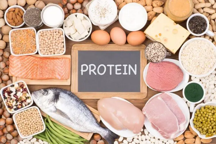 продукты с высоким содержанием белка худеют продукты с высоким содержанием белка худеют