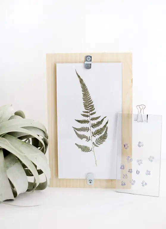 цветы растения сухой пресс home deco цветы растения сухой пресс home deco
