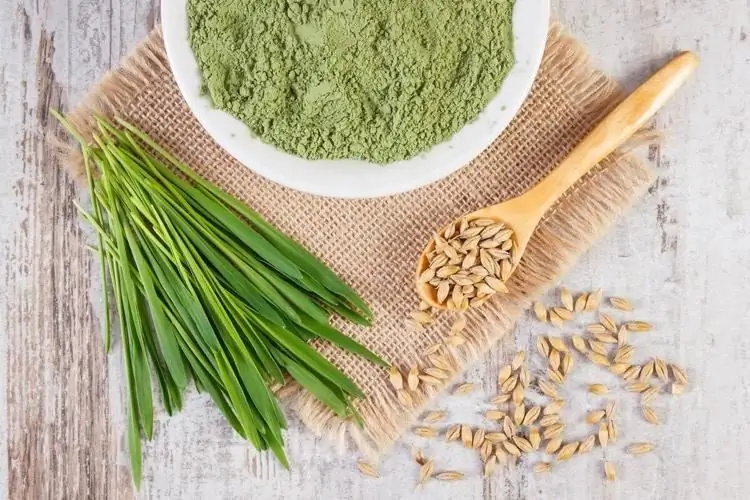 Зеленые суперпродукты для повышения иммунитета