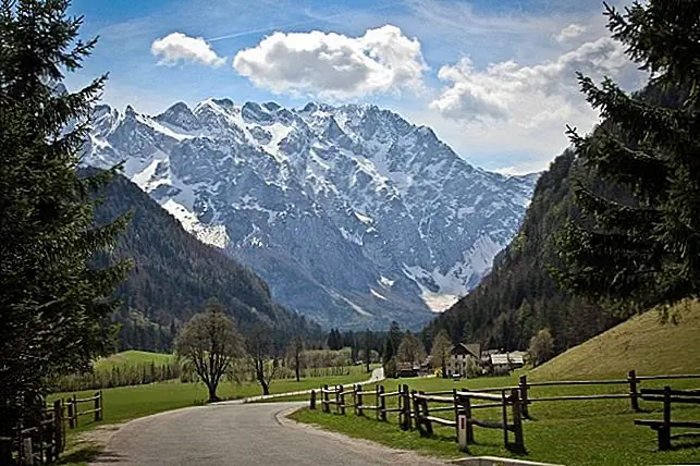 Image Image