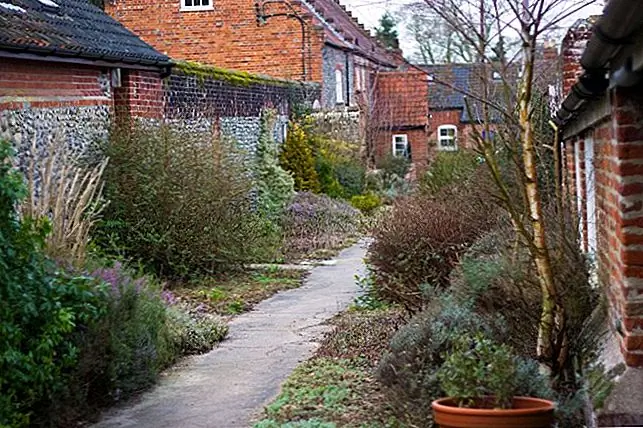 Image Image