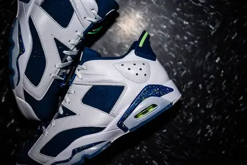 Призрачный зеленый Air Jordan 6 Low Seahawks
