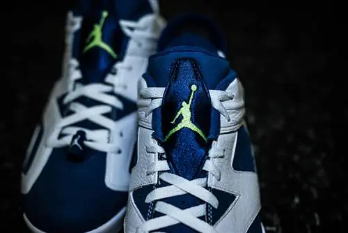 Призрачный зеленый Air Jordan 6 Low Seahawks