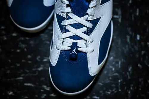 Призрачный зеленый Air Jordan 6 Low Seahawks
