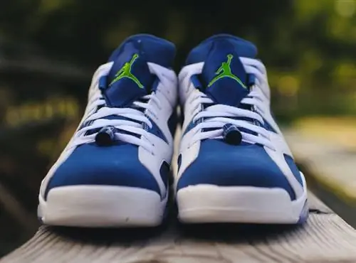Air Jordan 6 Low Seahawks Ghost Green