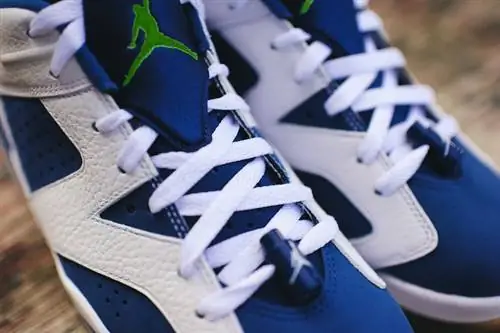 Air Jordan 6 Low Seahawks Ghost Green
