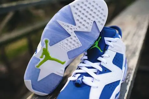 Air Jordan 6 Low Seahawks Ghost Green