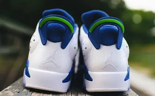 Air Jordan 6 Low Seahawks Ghost Green