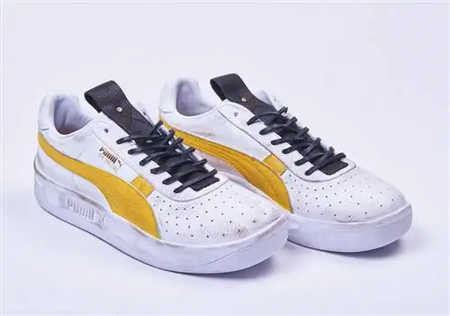 Дата выхода специального выпуска The Walking Dead PUMA GV Дата выхода специального выпуска The Walking Dead PUMA GV
