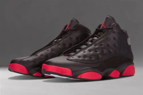 Разговор о кроссовках: Air Jordan 13 «Dirty Bred»