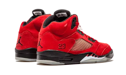 Air Jordan 5 Бешеный бык