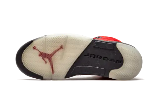 Air Jordan 5 Бешеный бык