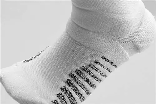 Носки Nike NBA Jordan Brand Носки Nike NBA Jordan Brand